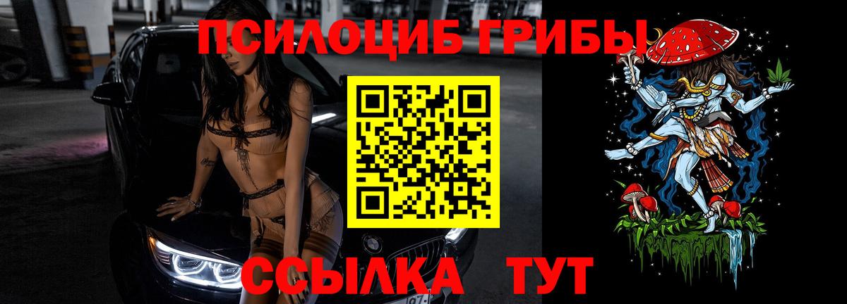 Псилоцибиновые грибы Cubensis Тольятти